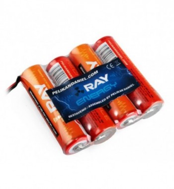 Pack bateria para receptor NiMH 4.8v 2000 mAh AA LONG RAY - Tipo 1